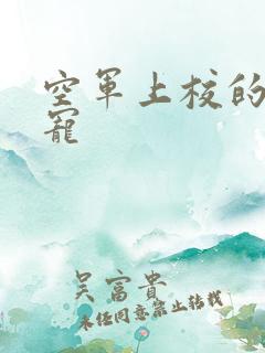 空军上校的邪魅宠