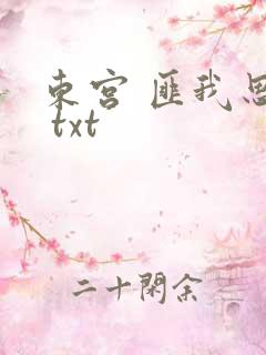 东宫 匪我思存 txt