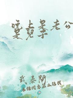 晚上是老公白天是儿子