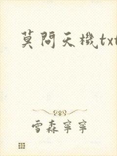 莫问天机txt