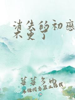 消失的初恋为啥不更了
