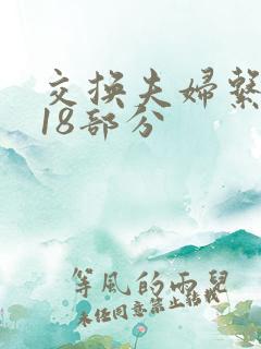 交换夫妇系列第18部分