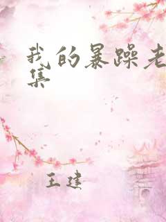 我的暴躁老妈全集