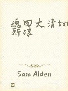 魂回大清txt新浪