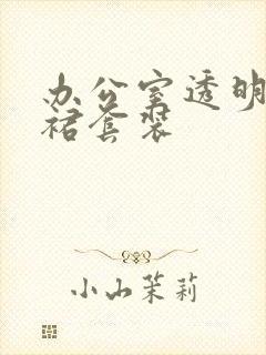 办公室透明半身裙套装