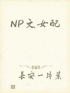 NP文女配