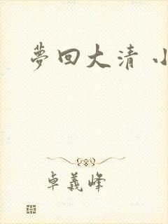 梦回大清 小说