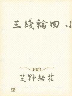 三线轮回 小说