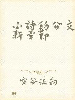 小诗的公交车最新章节