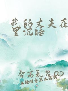 我的丈夫在冰箱里沉睡