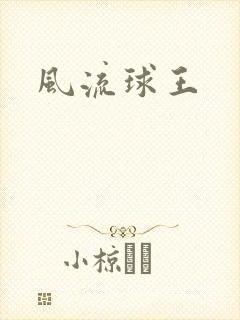 风流球王