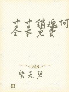 寸寸销魂何生祥全本免费