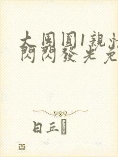 大团圆1亲情会闪闪发光免费