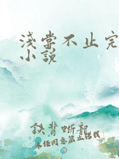 浅尝不止完整版小说