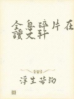 全息碎片在线阅读文轩