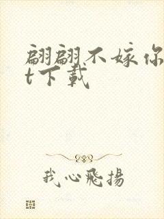 翩翩不嫁你txt下载