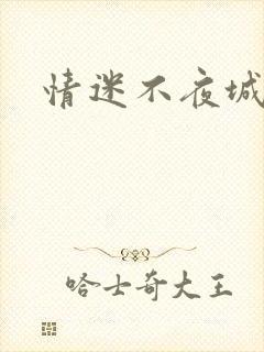 情迷不夜城