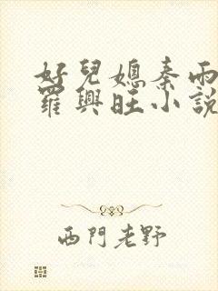 好儿媳秦雨罗明罗兴旺小说