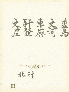 文轩车文爽到头皮发麻河马的秘密河