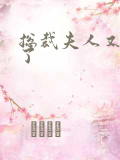 总裁夫人又征婚了