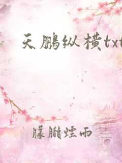 天鹏纵横txt