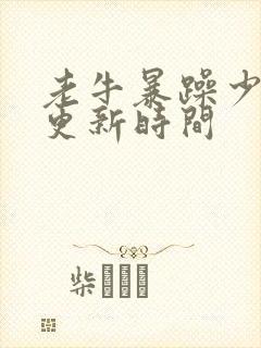 老牛暴躁少女的更新时间