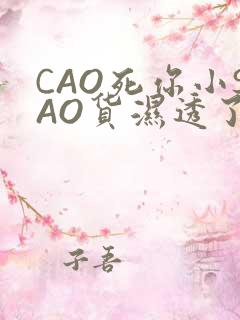 CAO死你小SAO货湿透了学长