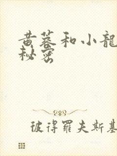 黄蓉和小龙女的秘密