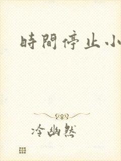 时间停止小说