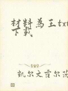 材料为王txt下载