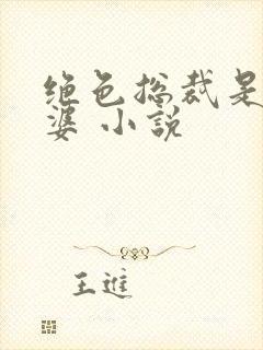 绝色总裁是我老婆 小说