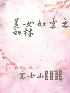 美女如云之高手如林