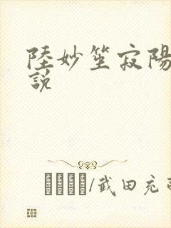 陆妙笙寂阳朔小说