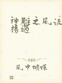 神雕之风流浪子杨过