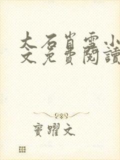 大石肖雪小说全文免费阅读