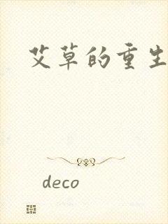 艾草的重生之路