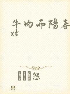 牛肉面阳春面txt