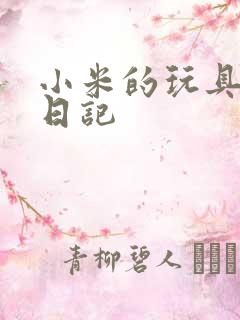 小米的玩具羞辱日记