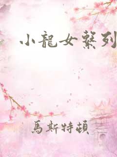 小龙女系列小说