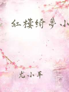 红楼绮梦小说