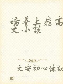 娇养上瘾高H爽文小说