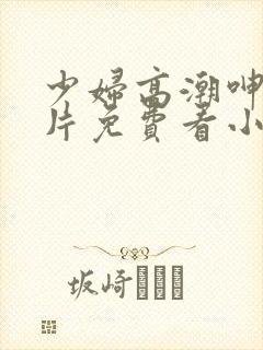 少妇高潮呻吟A片免费看小说