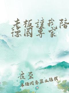 老板让我陪两个德国专家