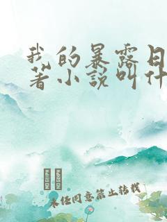 我的暴露日记原著小说叫什么