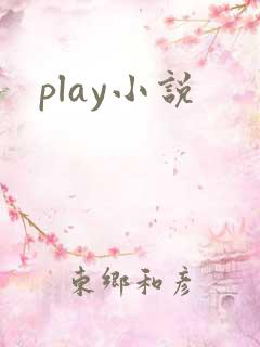play小说
