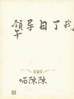 领导日了我一下午