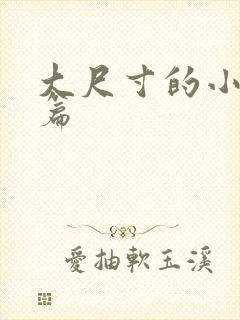 大尺寸的小说短篇