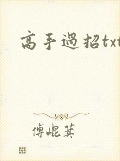 高手过招txt