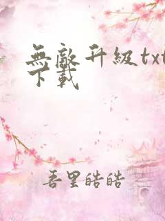 无敌升级txt下载