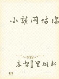 小说网站你懂的
